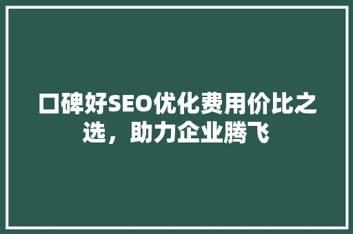 口碑好SEO优化费用价比之选，助力企业腾飞