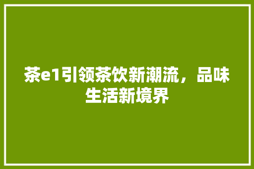 茶e1引领茶饮新潮流，品味生活新境界