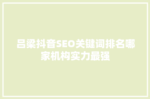 吕梁抖音SEO关键词排名哪家机构实力最强