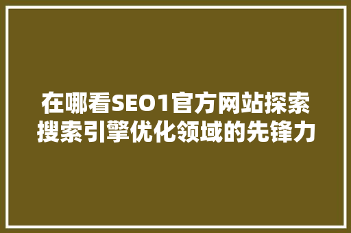 在哪看SEO1官方网站探索搜索引擎优化领域的先锋力量
