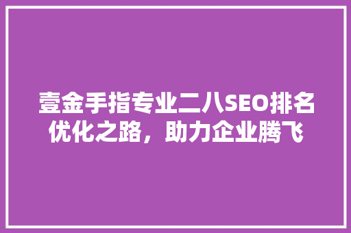壹金手指专业二八SEO排名优化之路，助力企业腾飞