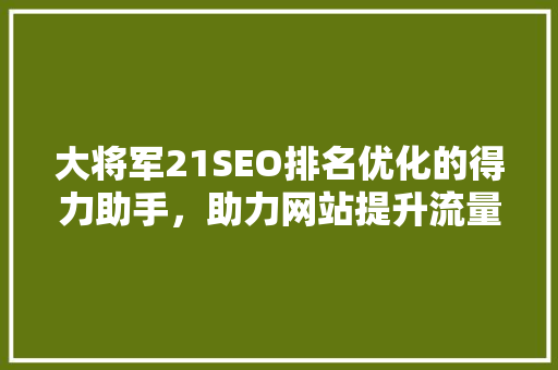 大将军21SEO排名优化的得力助手，助力网站提升流量与口碑