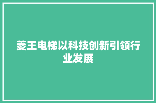 菱王电梯以科技创新引领行业发展