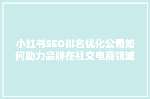 小红书SEO排名优化公司如何助力品牌在社交电商领域脱颖而出