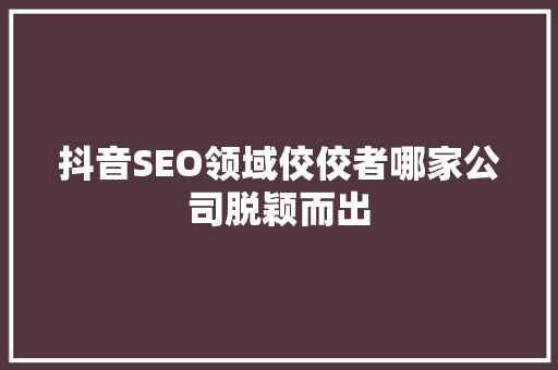 抖音SEO领域佼佼者哪家公司脱颖而出