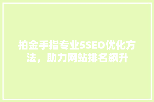 拍金手指专业5SEO优化方法，助力网站排名飙升