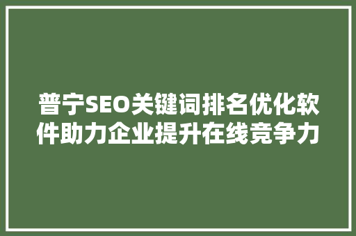 普宁SEO关键词排名优化软件助力企业提升在线竞争力