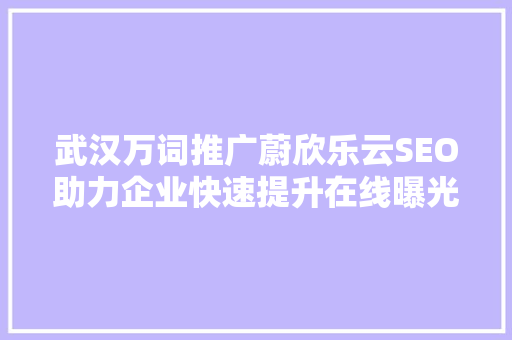武汉万词推广蔚欣乐云SEO助力企业快速提升在线曝光率  第1张