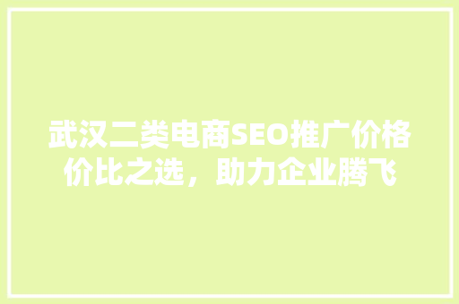 武汉二类电商SEO推广价格价比之选，助力企业腾飞