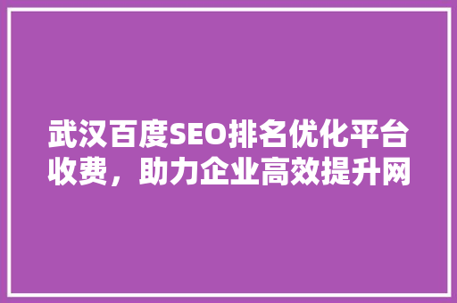 武汉百度SEO排名优化平台收费，助力企业高效提升网络曝光度