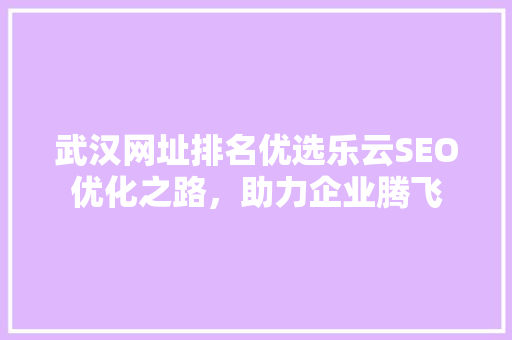 武汉网址排名优选乐云SEO优化之路，助力企业腾飞