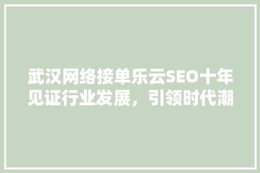 武汉网络接单乐云SEO十年见证行业发展，引领时代潮流