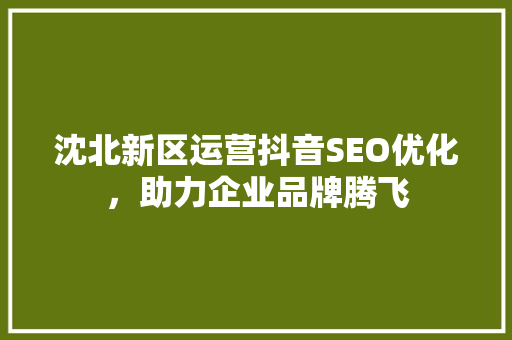 沈北新区运营抖音SEO优化，助力企业品牌腾飞