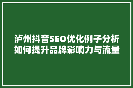 泸州抖音SEO优化例子分析如何提升品牌影响力与流量转化