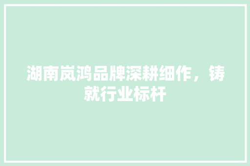 湖南岚鸿品牌深耕细作，铸就行业标杆