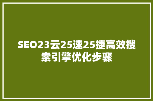 SEO23云25速25捷高效搜索引擎优化步骤