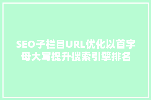 SEO子栏目URL优化以首字母大写提升搜索引擎排名