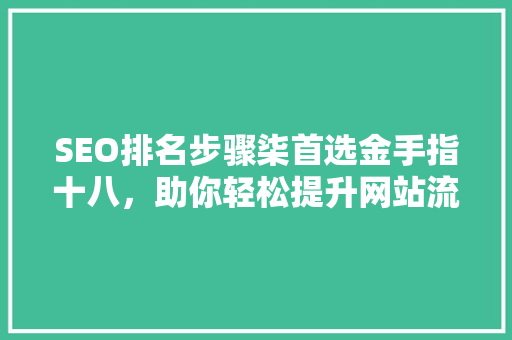 SEO排名步骤柒首选金手指十八，助你轻松提升网站流量