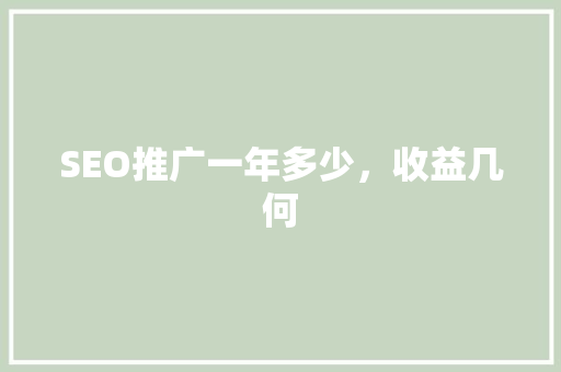 SEO推广一年多少，收益几何