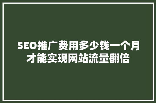 SEO推广费用多少钱一个月才能实现网站流量翻倍