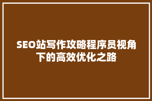 SEO站写作攻略程序员视角下的高效优化之路