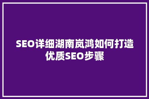 SEO详细湖南岚鸿如何打造优质SEO步骤