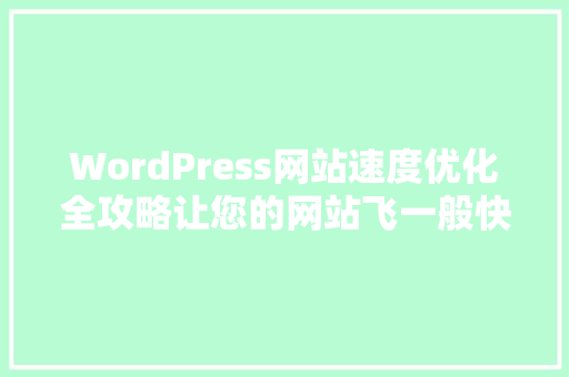 WordPress网站速度优化全攻略让您的网站飞一般快