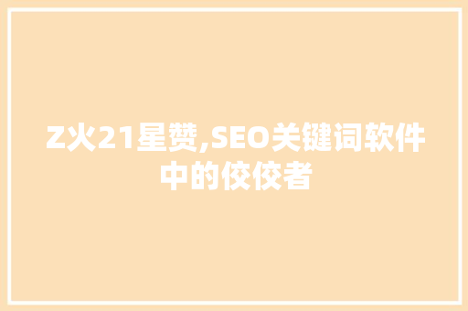 Z火21星赞,SEO关键词软件中的佼佼者  第1张