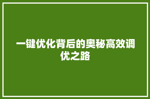 一键优化背后的奥秘高效调优之路