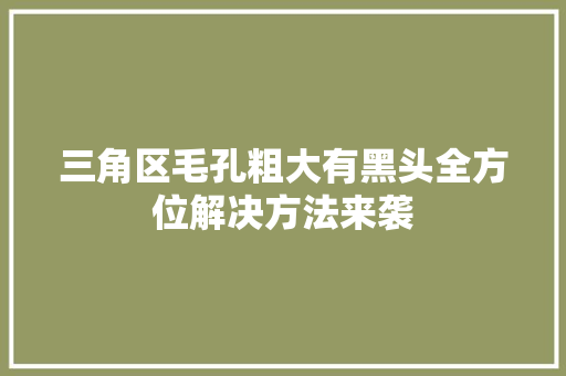 三角区毛孔粗大有黑头全方位解决方法来袭