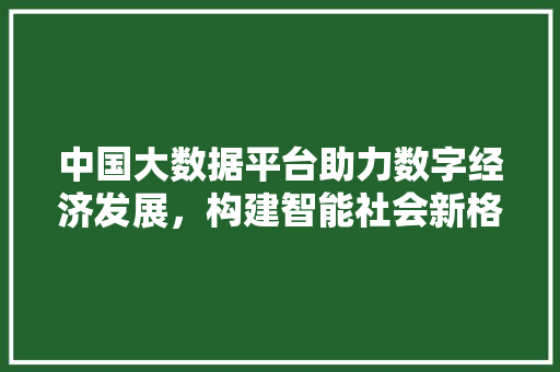 中国大数据平台助力数字经济发展，构建智能社会新格局