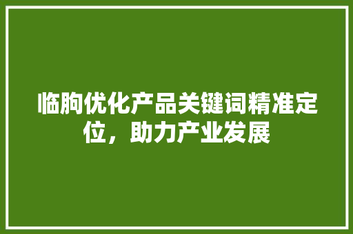 临朐优化产品关键词精准定位，助力产业发展