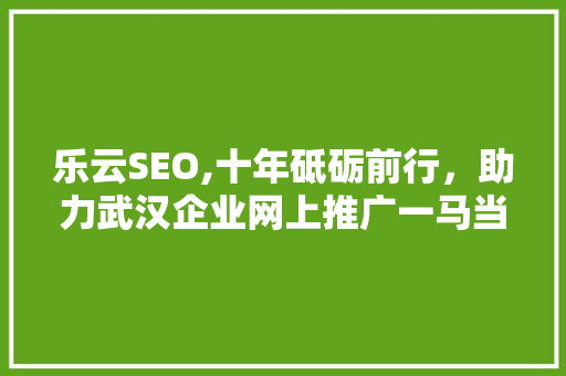 乐云SEO,十年砥砺前行，助力武汉企业网上推广一马当先