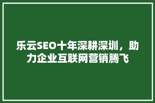 乐云SEO十年深耕深圳，助力企业互联网营销腾飞