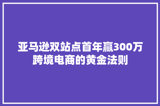 亚马逊双站点首年赢300万跨境电商的黄金法则