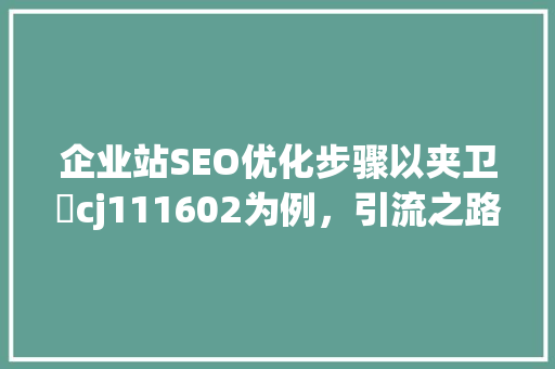 企业站SEO优化步骤以夹卫伈cj111602为例，引流之路
