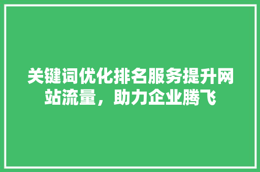 关键词优化排名服务提升网站流量，助力企业腾飞