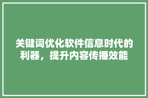 关键词优化软件信息时代的利器，提升内容传播效能