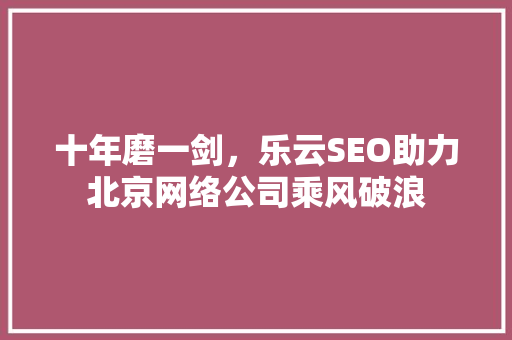 十年磨一剑，乐云SEO助力北京网络公司乘风破浪
