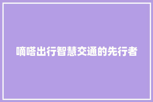 嘀嗒出行智慧交通的先行者  第1张