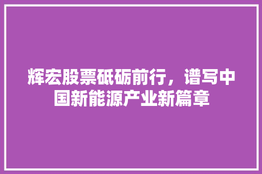 辉宏股票砥砺前行，谱写中国新能源产业新篇章