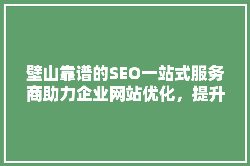 壁山靠谱的SEO一站式服务商助力企业网站优化，提升在线竞争力  第1张