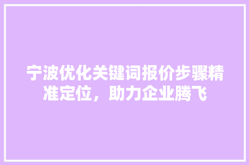 宁波优化关键词报价步骤精准定位，助力企业腾飞