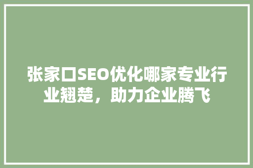 张家口SEO优化哪家专业行业翘楚，助力企业腾飞