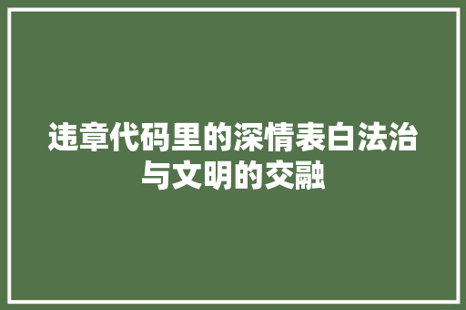 违章代码里的深情表白法治与文明的交融