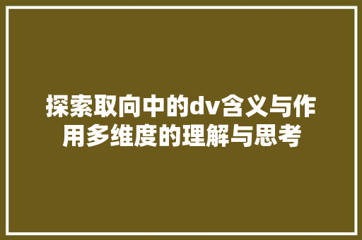 探索取向中的dv含义与作用多维度的理解与思考