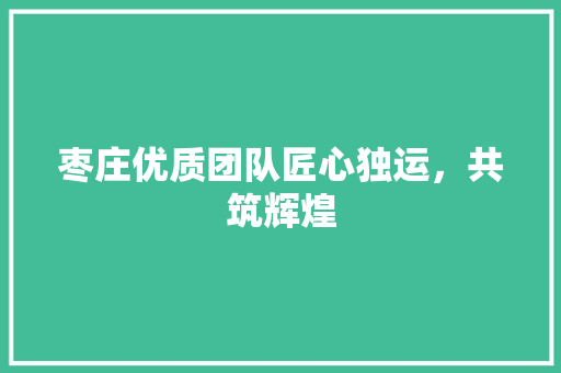 枣庄优质团队匠心独运，共筑辉煌