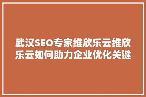 武汉SEO专家维欣乐云维欣乐云如何助力企业优化关键词，抢占市场先机
