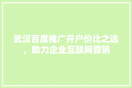 武汉百度推广开户价比之选，助力企业互联网营销