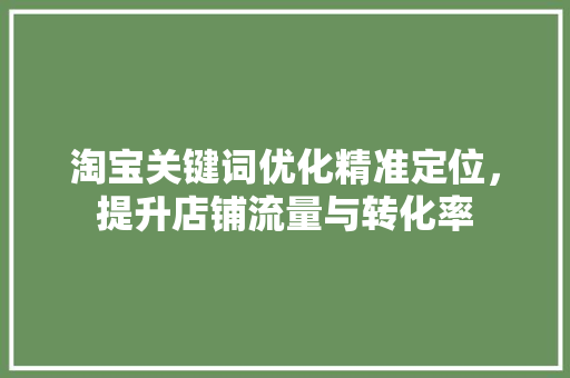 淘宝关键词优化精准定位，提升店铺流量与转化率